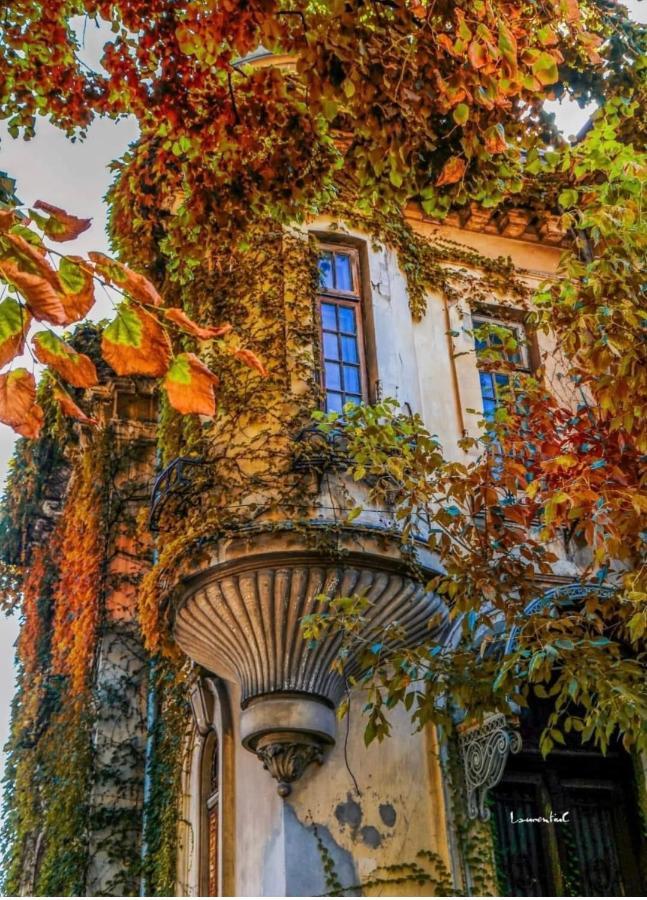 Charming Place Cotroceni Bucarest Exterior foto